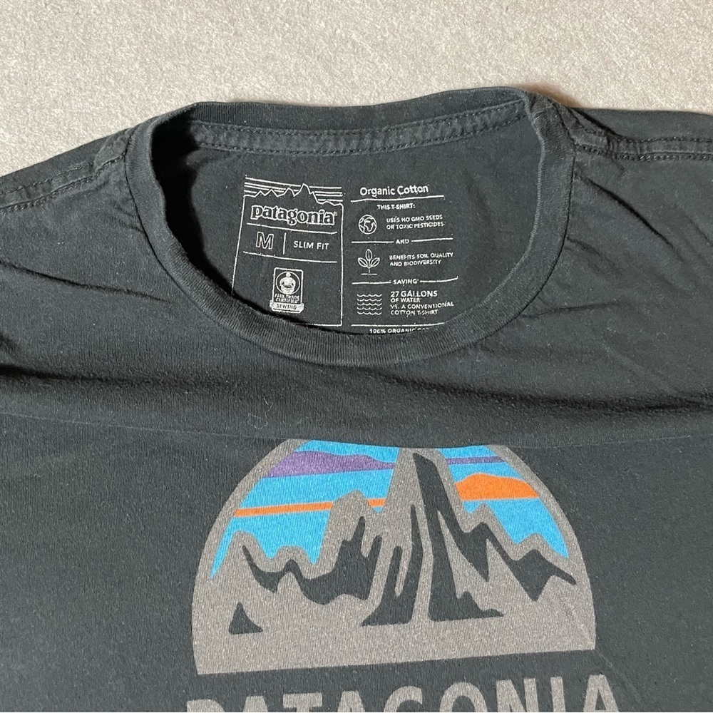 Patagonia 1973 Logo Men’s T-Shirt Medium Black Organic Cotton Short Sleeve Tee - Picture 2 of 6